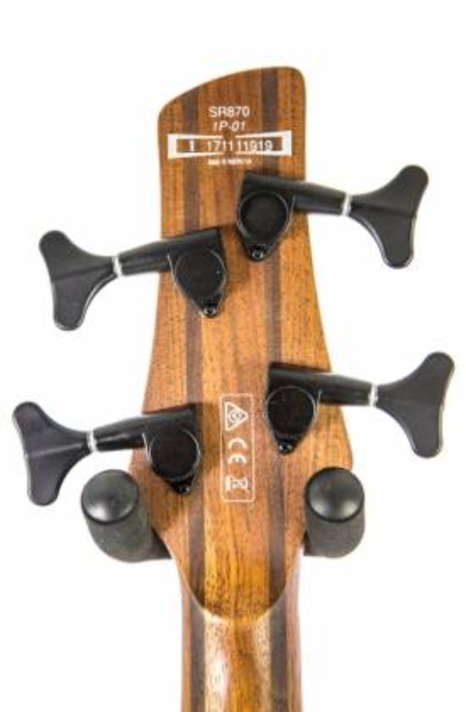 BAJO ELECTRICO IBANEZ "SR" DEGRADADO SR870-ALG