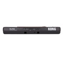 TECLADO KORG ARRANGER 61 TECLAS PA-700