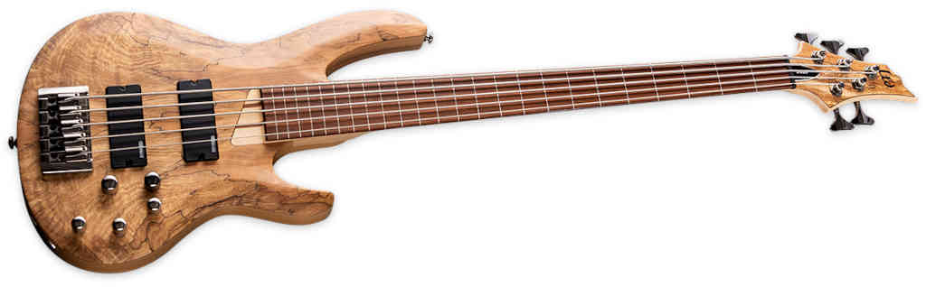 BAJO ELECTRICO ESP B-205SM FRETLESS NATURAL SATIN LB205SMFLNS