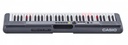 TECLADO CASIO C/ELIMINADOR