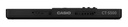 TECLADO CASIO PORTATIL CT-S500