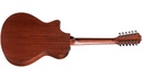 GUITARRA TAYLOR ACUSTICA DE 12 CUERDAS 352CE