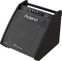 MONITOR ROLAND PERSONAL 180W PM-200