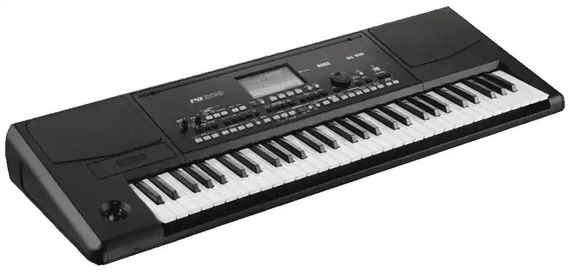 TECLADO PROFESIONAL WORKSTATION KORG PA DE 61 TECLAS PA300