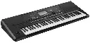 TECLADO PROFESIONAL WORKSTATION KORG PA DE 61 TECLAS PA300