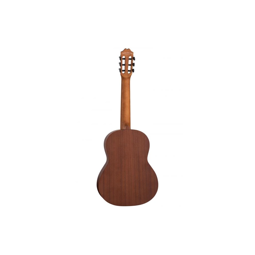 EME1 GUITARRA TANGLEWOOD EME1