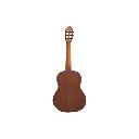 EME1 GUITARRA TANGLEWOOD EME1