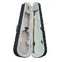 VIOLIN 4/4 VITALE MAPLE CON ESTUCHE ARCO GK0024/4 