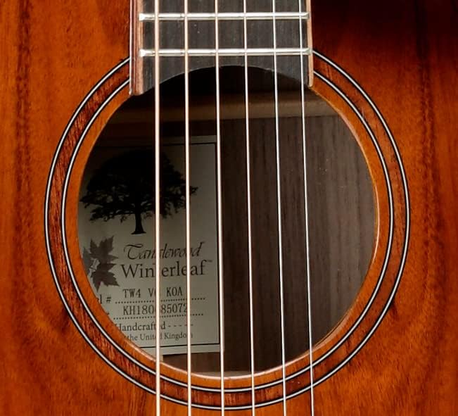 TW4VCKOA Tanglewood Lámpara veneciana Winterleaf