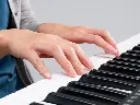 PSR-E283 TECLADO PORTATIL DE 5/8 61 TECLAS YAMAHA PSR-E283