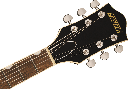 GUITARRA ELÉCTRICA GRETSCH G2655 Streamliner™ Center Block Jr. Double-Cut with V-Stoptail 2817100530