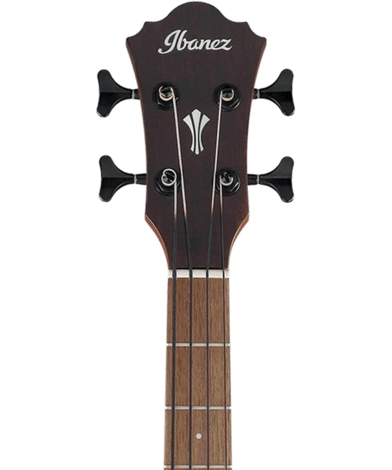 BAJO ELECTROACUSTICO IBANEZ AEGB30E-NTG