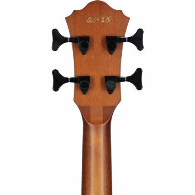 BAJO ELECTROACUSTICO IBANEZ AEGB24-BKH