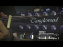 GUITARRA ELECTROACÚSTICA DE 12 CUERDAS SUPER FOLK BLACKBIRD TANGLEWOOD TWBBSFCE12