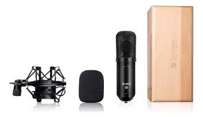 MICROFONO DE CONDENSADOR PROFESIONAL M5