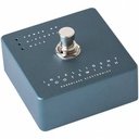 AO INTELLIGENT FOOTSWITCH PEDAL DARKGLASS PARA AMP