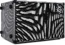 Darkglass DG210A 2×10″ bass combo 500 W digital