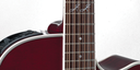 TAKAMINE JJ325SRCL-12 W/SEMI-HARD GUITARRA DOCEROLA 