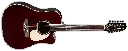 TAKAMINE JJ325SRCL-12 W/SEMI-HARD GUITARRA DOCEROLA 