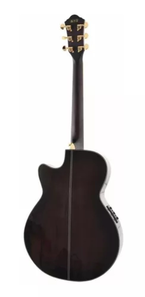 GUITARRA ELECTROACUSTICA IBANEZ AEG24II-TGB