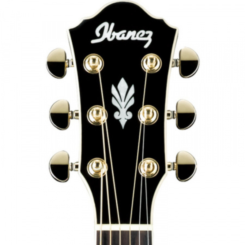 GUITARRA ELECTROACUSTICA IBANEZ AEG24II-TGB