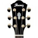 GUITARRA ELECTROACUSTICA IBANEZ AEG24II-TGB