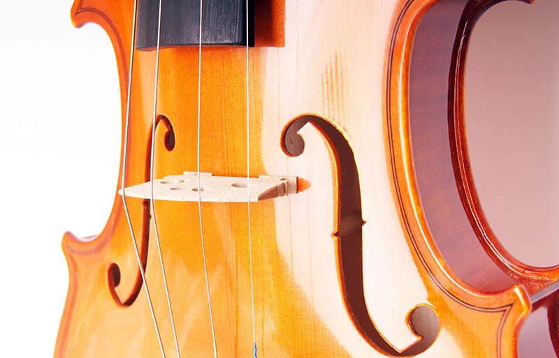 VIOLIN STRUNAL 4/4
