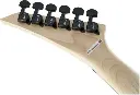 GUITARRA ELÉCTRICA JACKSON JS1X RR, MINION, AH FB-