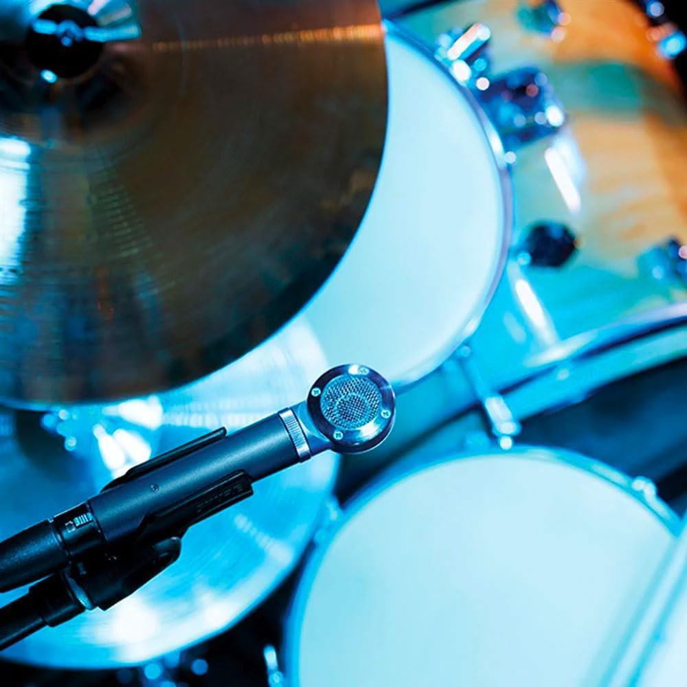 Micrófono condensador modular SHURE BETA 181/C