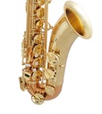 SAXOFÓN TENOR LAQUEADO/BRONCE ADVANCED SIB SELMER STS411C