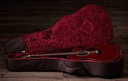 GUITARRA ELECTROACÚSTICA SPECIAL EDITION SE TRANS RED TAYLOR 224CE PLUS