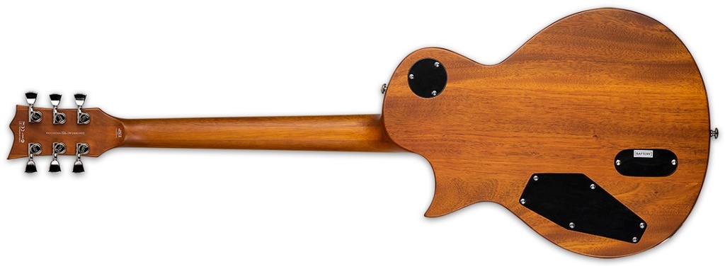 Guitarra Eléctrica LEC1000TFMHBSF