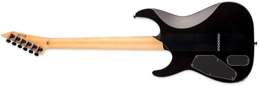 Guitarra Eléctrica LM1000HTBPBLKFD