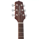 GUITARRA ACUSTICA TAKAMINE GN10‑NS NEX