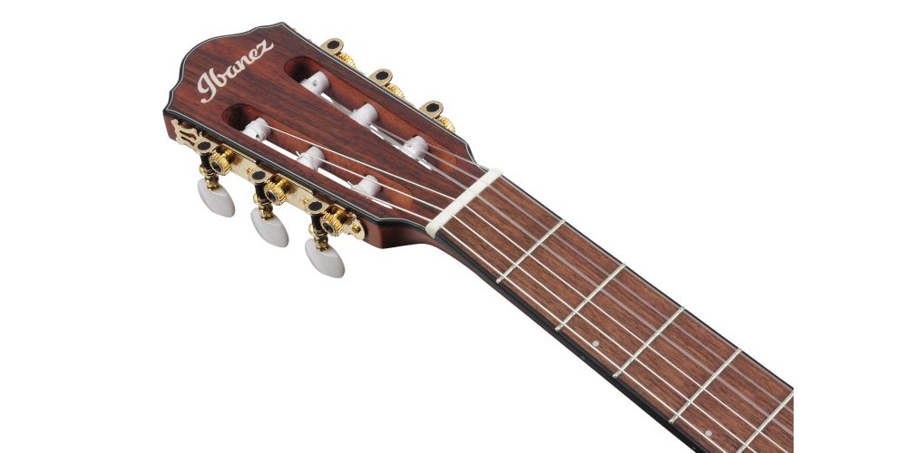 GUITARRA ELECTROACÚSTICA IBANEZ FRH10N-RGF