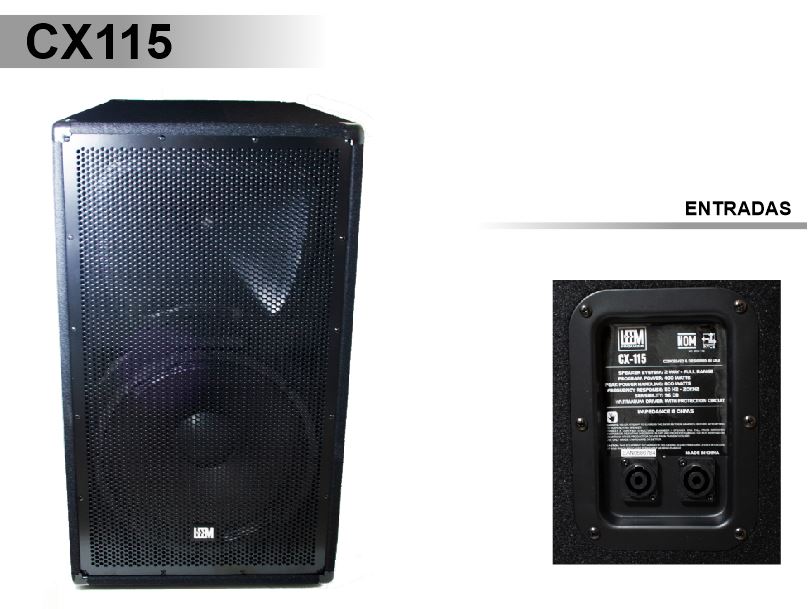 BAFLE PASIVO PROFESIONAL LEMM DE 15" 400W CX-115