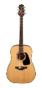Guitarra acústica Takamine GD10-NS dreadnought de abeto y caoba