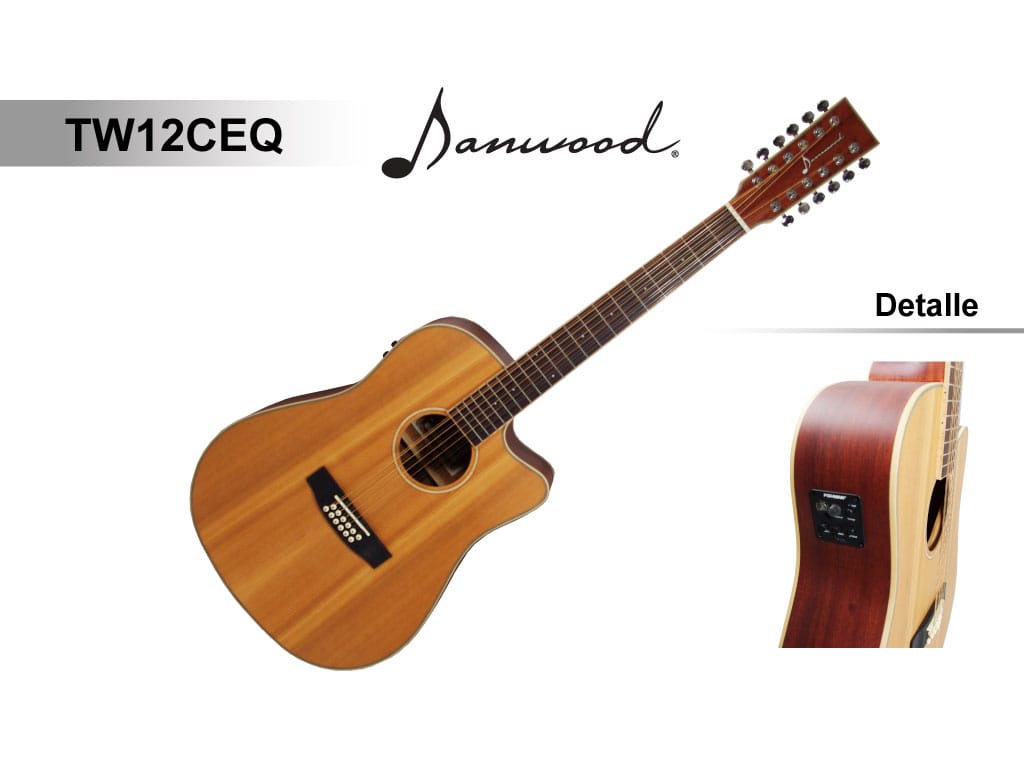 GUITARRA 12 CUERDAS C/EQ FISHMAN C/