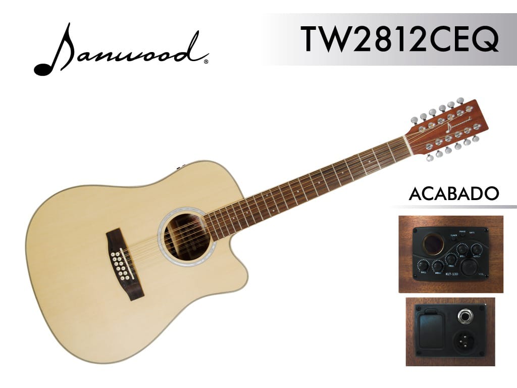 GUITARRA ELECTROACUSTICA 12 CUERDAS