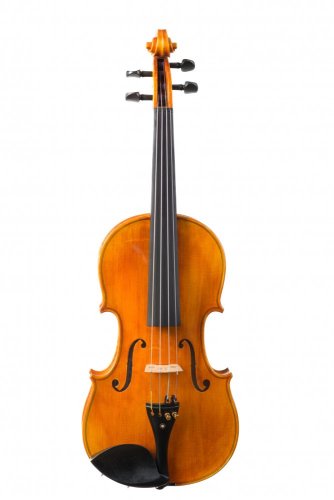 Violín Strunal 1750 4/4  para estudiante avanzado
