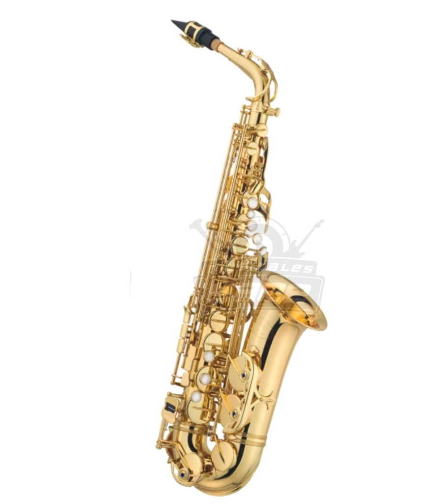 SAXOFON ALTO LAQUEADO DORADO ESTUCHE Y ACCESORIOS 