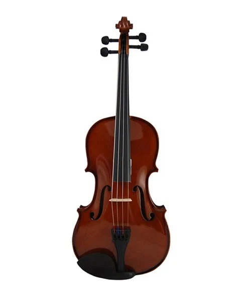 VIOLIN 3/4 SANDNERD C/ARCO BARBADA Y ESTUCHE RV-1-3/4