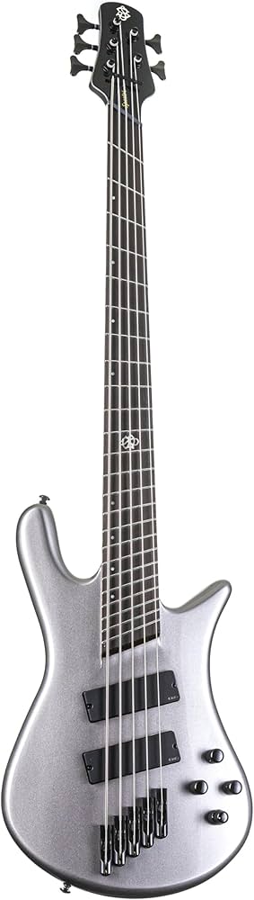 BAJO ELECTRICO DE 5 CUERDAS NS DIMENSION HP5 SPECTOR NSDM5GM