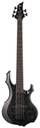 BAJO ELECTRICO LTD DE 5 CUERDAS F1005 SEE THRU BLACK LF1005FMSTBLK