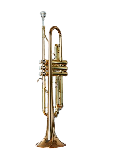 TROMPETA YAMAHA BB PROFESIONAL YTR-6335RC