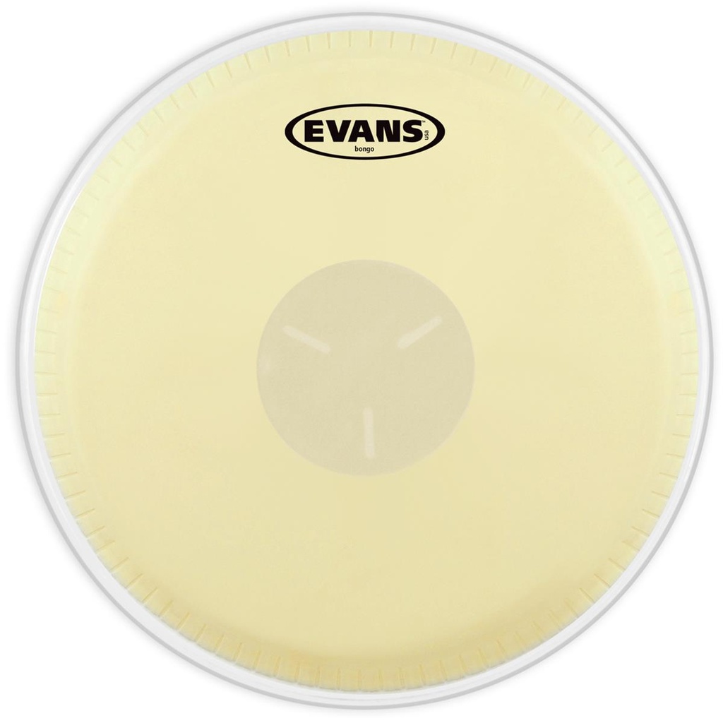 PARCHE EVANS 8" P/BONGO EB09