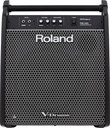 MONITOR ROLAND PERSONAL 180W PM-200