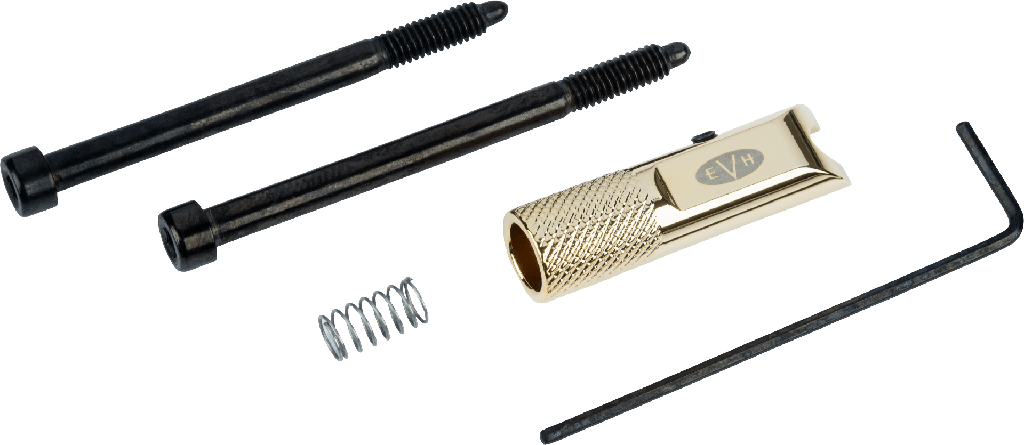 SISTEMA DE AFINACION DROP EVH 5550121466