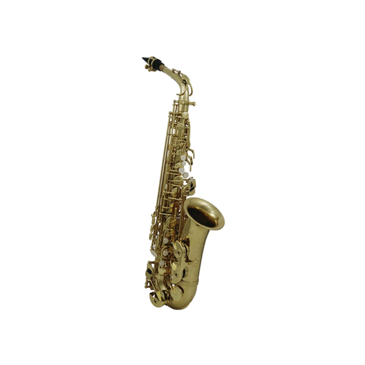 Saxofón Alto 6430LCW – Cyrus Winds / Karma