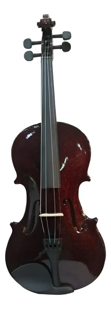 Violín Acústico 4/4 PVL0014/4-WN